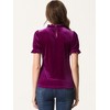 INSPIRE CHIC Women's Short Sleeve Velvet Keyhole Back Ruffle Mock Neck Shirt - 3 of 4