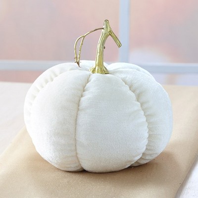 The Lakeside Collection Cream and Gold Harvest Decor