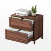 HDZNVF 2 Drawer Farmhouse File Office Cabinet,Filing Cabinet with Lock for Home Office, Walnut - 4 of 4