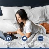 400-Thread Count Cotton Sheet Set by Martex - 4 of 4