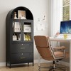 SUXXAN 1-Shelf And 2-Drawer File Cabinet with Lock,Modern Freestanding Arched Cabinets, Dispaly Cabinets, Assembly Required,Black - 4 of 4