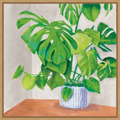 16" x 16" Monstera Houseplant by Mary Urban Framed Wall Canvas Gray - Amanti Art