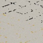 seth freakin rollins