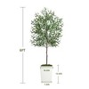 SKRAN Outdoor Artificial Olive Tree,Faux Olive Plant with Green Leaves,Indoor & Outdoor Home Decor for Living Room,Bedroom,Office,Garden. - 3 of 4