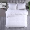 3pc Chloe 100% Microfiber Comforter Set Solid White - City Scene - 4 of 4