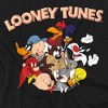 Boys' Short Sleeve Looney Tunes Gang 1 T-Shirt - 3 of 4