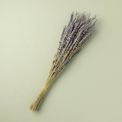 25" Preserved Lavender Flower Stems Bundle - Hearth & Hand™ with Magnolia