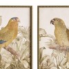 Plum & Post Tropical Parrot Prints, Set of 2 - Brown/Green - Fir Wood - 3 of 4