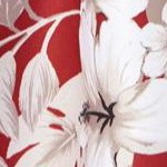 red floral palms