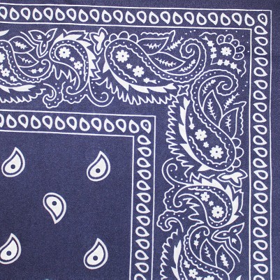 paisley navy blue