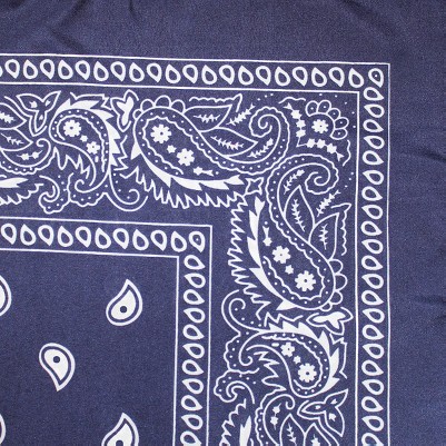 paisley navy blue