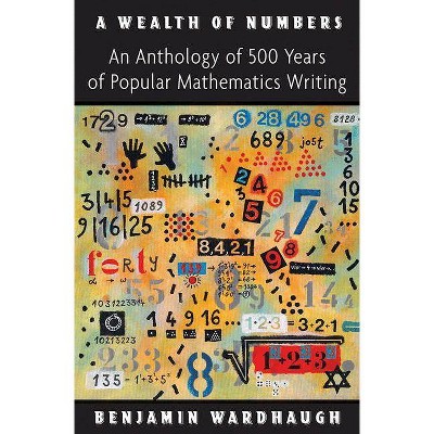 A Wealth of Numbers - by  Benjamin Wardhaugh (Hardcover)