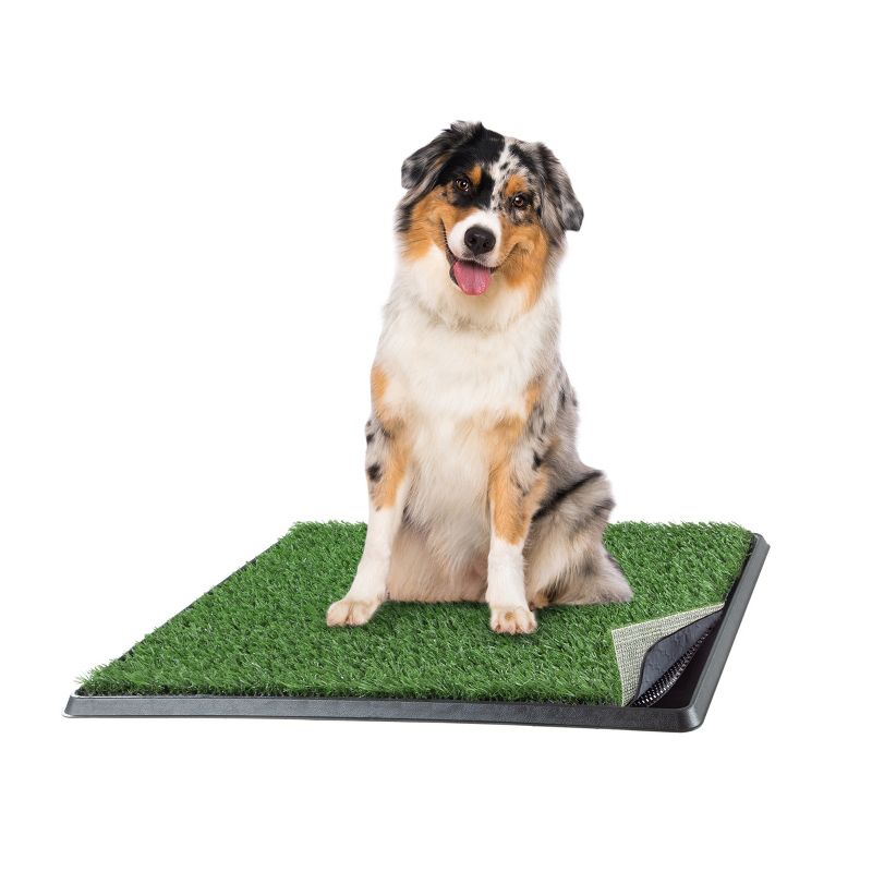 Artificial Grass Puppy Pee Pad for Dogs and Small Pets - 20x25 Reusable 4-Layer Training Potty Pad with Tray - Dog Housebreaking Supplies by PETMAKER, 1 of 8