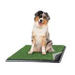 Artificial Grass Puppy Pee Pad for Dogs and Small Pets - 20x25 Reusable 4-Layer Training Potty Pad with Tray - Dog Housebreaking Supplies by PETMAKER