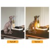 YIYIBYUS Brown Creative Resin Dog Design Bedside Lamp Table Lamp for Living Room - 3 of 4