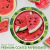 Creative Converting 9" Slice of Summer Paper Plates 24ct - 2 of 3