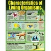 McDonald Publishing Living Organisms Posters, Set of 4 - 4 of 4