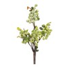 Green Berry Foliage Spray (Set of 4) - 3 of 3