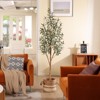 DR.Planzen 5-7FT Artificial New Style Olive Plants with Realistic Leaves and Natural Trunk, Silk Fake Potted Tree for Office Home Decor - 2 of 4