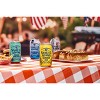 Samuel Adams Beers of Summer Seasonal Variety Pack - 12pk/12 fl oz Cans - 4 of 4