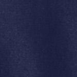 midnight blue