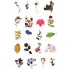 Wrapables Decorative Scrapbooking Washi Stickers, DIY Crafts for Stationery, Diary, Card Making (60 pcs), Posies - 2 of 4