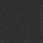 west virginia mountaineers