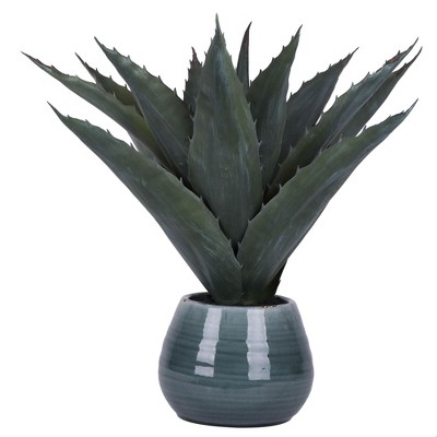 Vickerman 18" Artificial Green Succulent in Ceramic Pot.