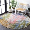 Summer SMR487 Power Loomed Indoor and Outdoor Area Rug  - Safavieh - 3 of 4