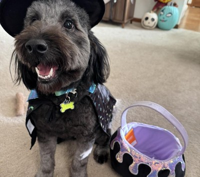 Guest review image 2 of 3, zoom in