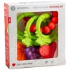 Baby Teething Toys for Newborns 0-6 Months - 4 of 4