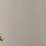 charcoal, teal, medium gray