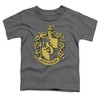 Toddler Boys' Harry Potter Hufflepuff Crest T-Shirt - 2 of 4