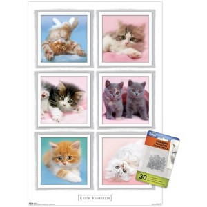 Trends International Keith Kimberlin - Kittens Unframed Wall Poster Prints - 1 of 4