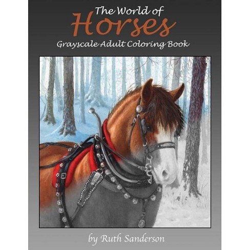 97 Target Horse Coloring Book Free