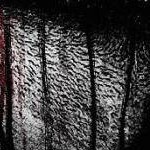 clear push pins bundle