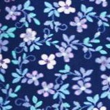 evening blue flowers