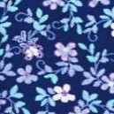 evening blue flowers