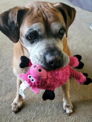 Guest review image 2 of 2, zoom in