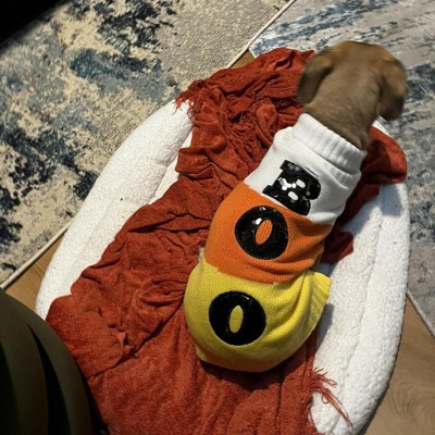 Poop emoji dog outlet sweater