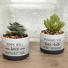 Pavilion Gift Company - Succ-sess - Artificial Potted Plant  - Artificial Plants - 4 of 4