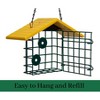 JCS Wildlife Single Suet Cage with Poly Lumber Roof - 2 of 4