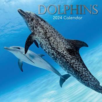 Miami Dolphins Calendar 2022 12 x 12 inch