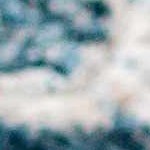 charcoal, teal, gray, mustard, dusty sage, light gray