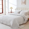 Hachikiko White Ruffled Quilt Set,Romantic Quilted Bedspread with Shams,Twin Sizes - 2 of 4