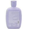 Alfaparf Semi Di Lino Smoothing Low Shampoo, 8.45 oz - 2 of 3