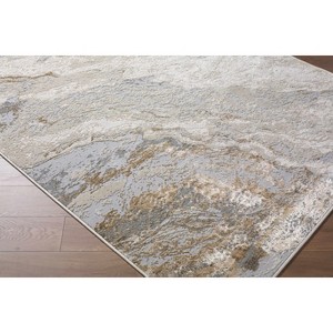 Hauteloom Akuchi Living Room, Bedroom Area Rug - Contemporary - 1 of 4