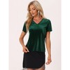 Allegra K Women's Baisc V Neck Velvet Short Sleeve T-Shirt - 4 of 4