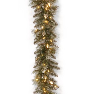 National Tree Company Pre-Lit 'Feel Real' Artificial Christmas Garland, Green, Glittery Bristle Pine, White Lights, Frosted Branches, Plug In,9 Feet - 1 of 3