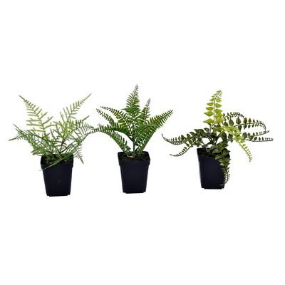 Vickerman 10" Artificial Green Potted Fern Assortment, Set of 3